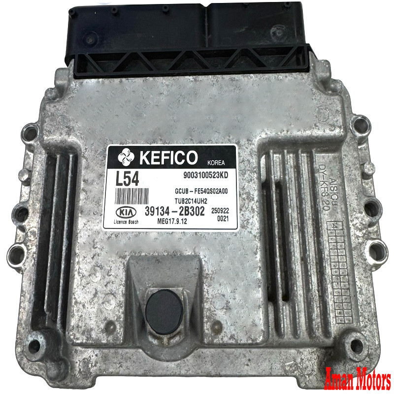 39134-2B302 Hyundai Kia Engine Computer Board ECU MEG17.9.12 39134-2B302